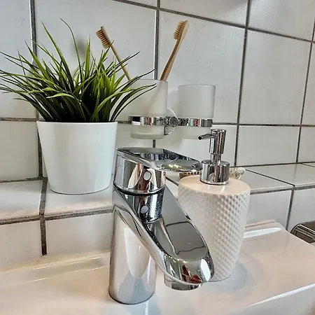 Wikinger Harleblick - Altfunnixsiel