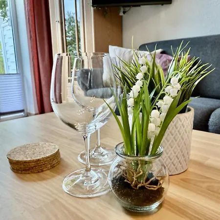 Wikinger Harleblick - Altfunnixsiel *