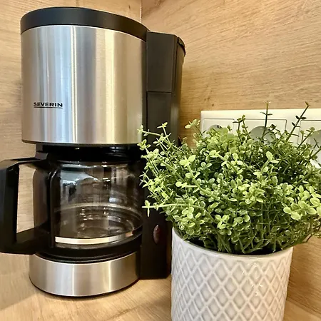 Wikinger Harleblick - Altfunnixsiel