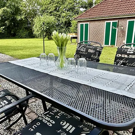 Wikinger Harleblick - Altfunnixsiel