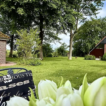 Wikinger Harleblick - Altfunnixsiel *