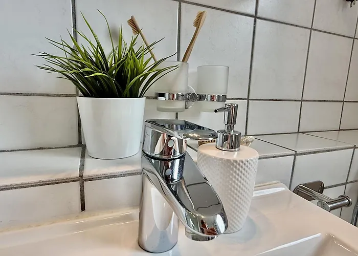 Wikinger Harleblick - Altfunnixsiel